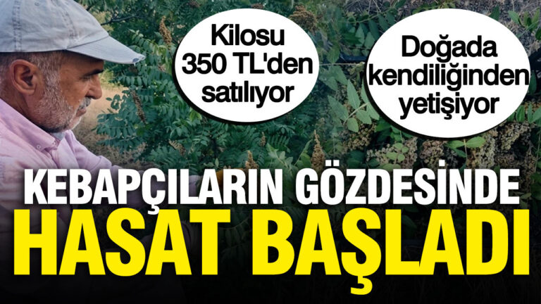 haber-gorseli-1786450462755